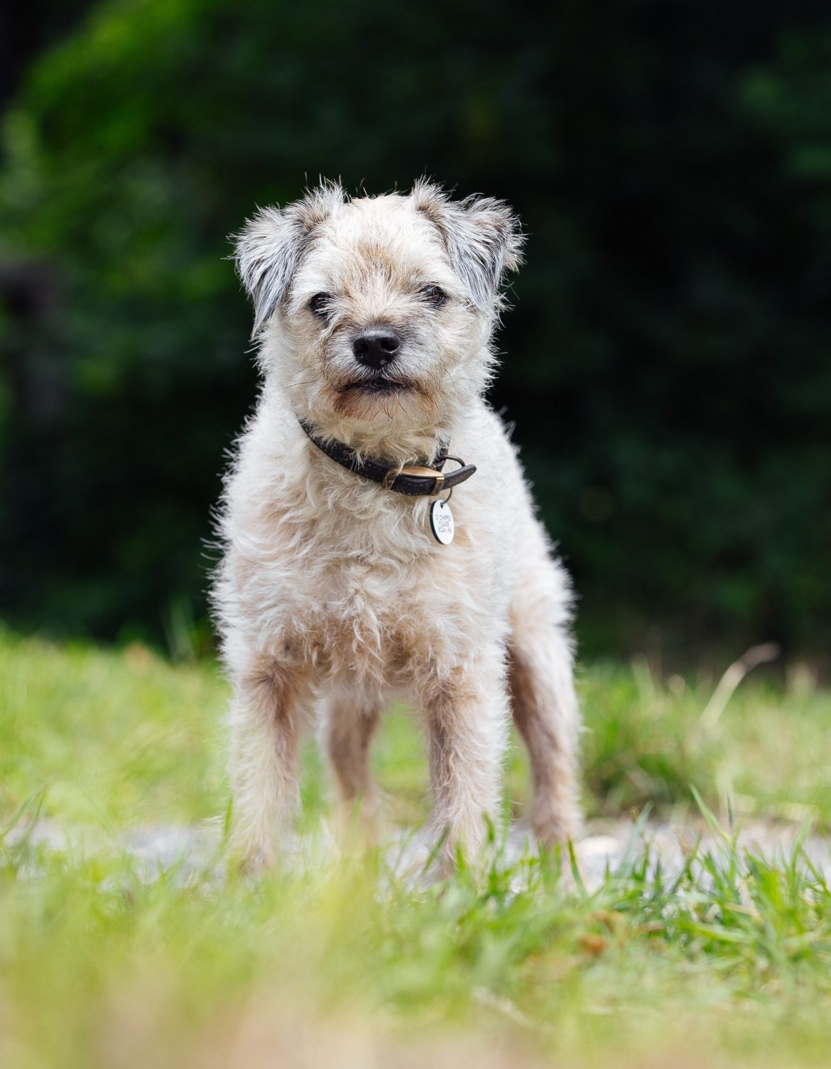 Staff-Portraits-040-Dougal-Cropped.jpg